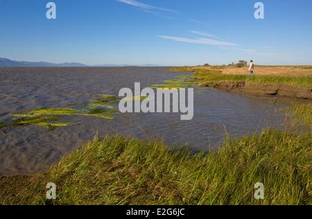 Canada Quebec province Chaudiere-Appalaches region L'Isle-aux-Grues the Battures Stock Photo