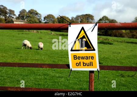 Beware of bull sign on farm gate Stock Photo