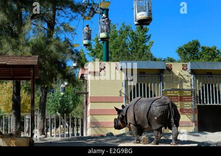 Portugal Lisbon Zoological Garden Greater Indian Rhinoceros (Rhinoceros unicornis) and cable cars that go around the zoo Stock Photo