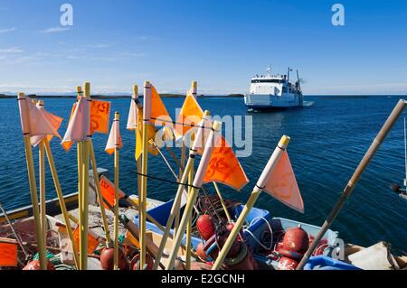 Iceland Westfjords Vestfirdir Region Breidafjordur Bay Flatey Island Arrival of the ferry Stock Photo