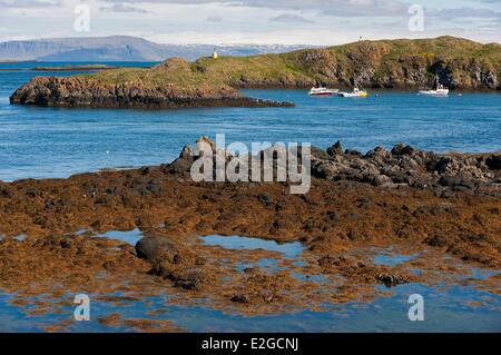 Iceland Westfjords Vestfirdir Region Breidafjordur Bay Flatey Island Stock Photo