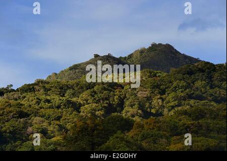 Panama Chiriqui province Boquete slopes of Volcan Baru national park Stock Photo