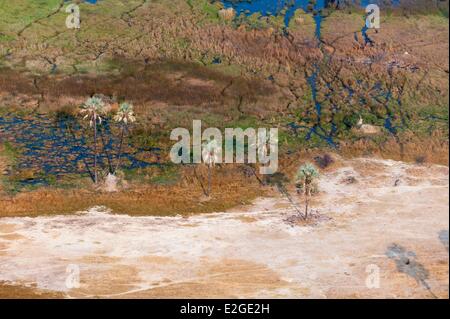 Botswana Northwest district Okavango Delta (aerial view) Stock Photo