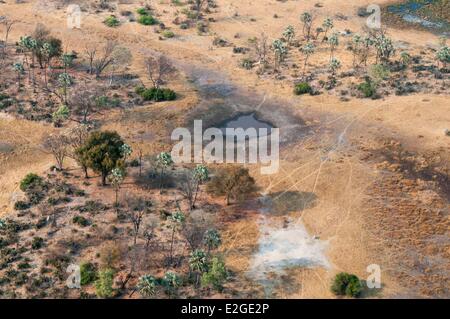 Botswana Northwest district Okavango Delta (aerial view) Stock Photo