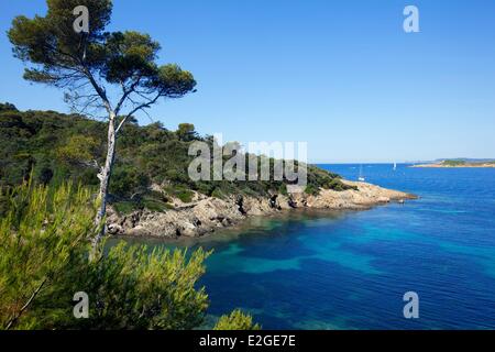 France Var Hyeres Islands National Park of Port Cros island of Port Cros trail to southern beaches island in background Bagaud Stock Photo