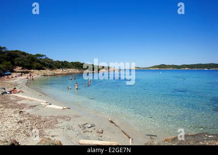 France Var Hyeres Islands National Park of Port Cros island of Port Cros southern beaches Stock Photo