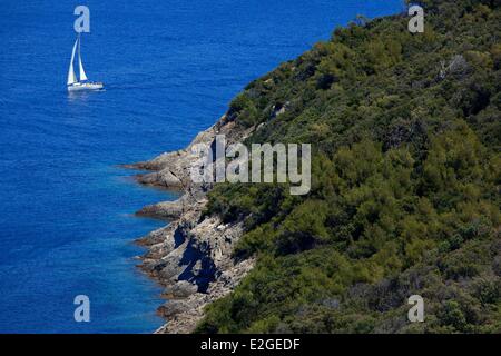 France Var Hyeres Islands National Park of Port Cros island of Port Cros sailboat Stock Photo