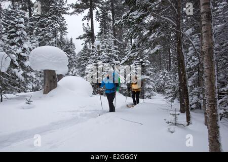 Russia Siberia country ski on Khamar Daban mountains on east side of ...