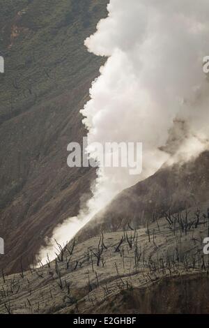 Indonesia Java Island West Java province Papandayan volcano (2665m ...