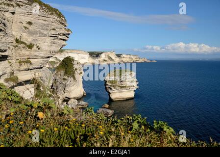 France Corse du Sud Bonifacio cliffs Grain de Sable Stock Photo