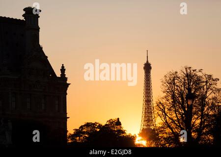 France Paris backlight on Eiffel Tower with Pavillon of Flore in foreground