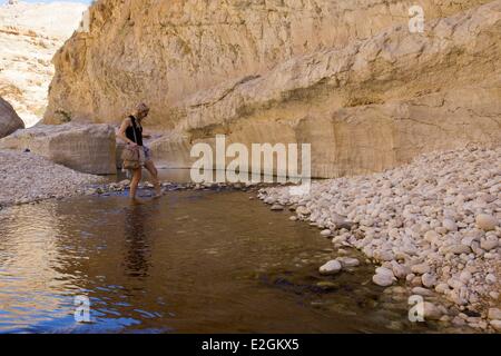 Sultanate of Oman Ash Sharqiyyah region Wadi Bani Khalid grooves Stock Photo