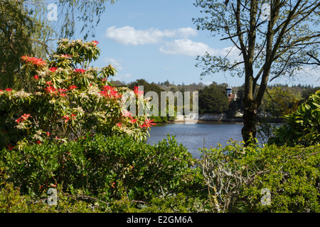 Beaulieu - a small village located on the south-east edge of the New Forest national park in Hampshire, England Stock Photo