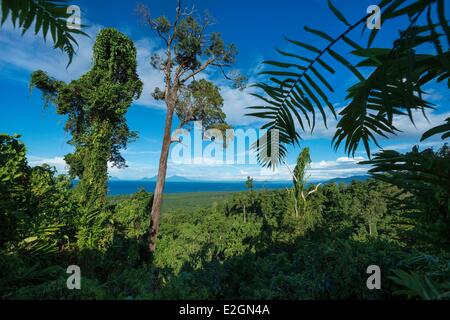 Papua New Guinea New Britain island West New Britain province Talasea district Kimbe area Stock Photo