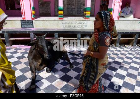 India Uttar Pradesh State Mathura women in a temple during Holi festival celebrations Stock Photo