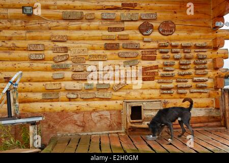 Sleg dog hi-res stock photography and images - Alamy