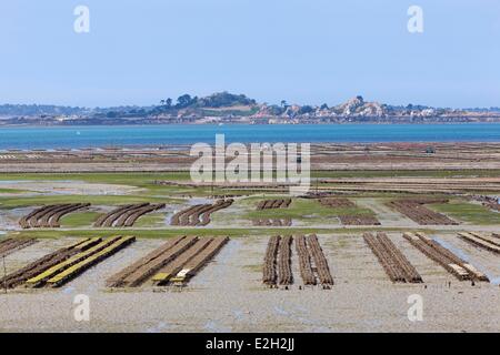 France Cotes d'Armor Plouezec Bay of Paimpol oyster farm on tables Stock Photo