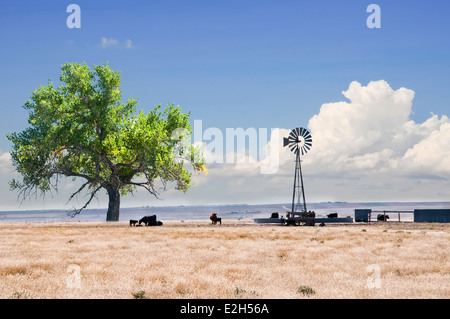Windmill used to water livestock on the open plains of western United States. Stock Photo