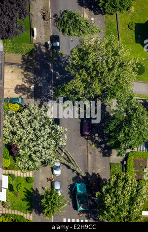 Aerial view, storm damage caused on 9 June 2014, Bochum, Ruhr Area, North Rhine-Westphalia, Germany Stock Photo