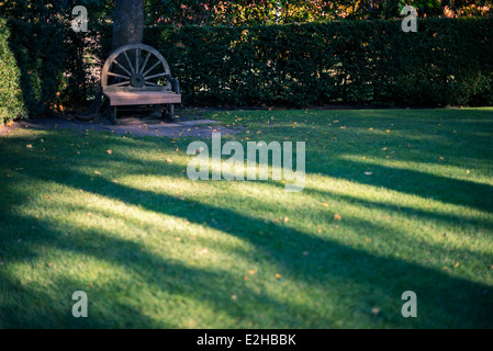 Bench in park of the Dandenong Ranges, with large shadows, at golden hour. Stock Photo