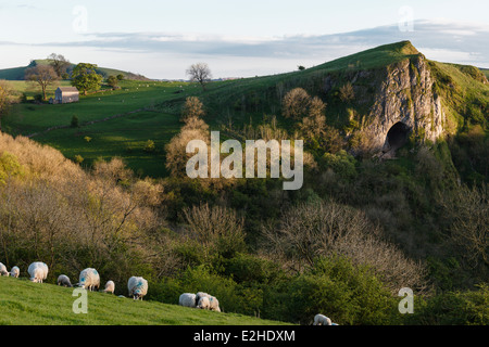 Thor's Cave, Manifold Valley, Peak District National Park, Staffordshire Stock Photo