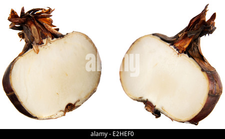 A DRIED RED KOHLRABI CUT IN  HALF ON WHITE BACKGROUND Stock Photo