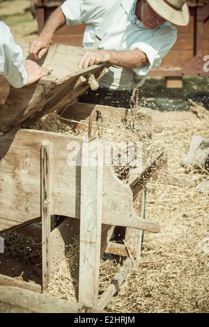 Agriculture workers operating threshing machine Stock Photo