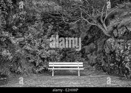 Empty park bench, Promenade des AlliÄs, Dinard, Ille et Vilaine, Brittany, France Stock Photo