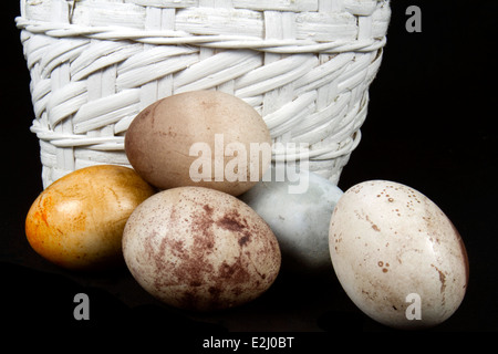 Natural dyed easter eggs with white wicker basket on black Stock Photo