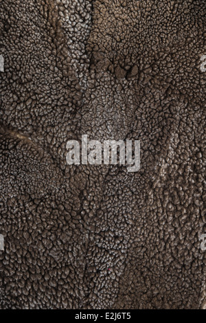 sheep fur texture, Mouton (manufactured sheepskin) background Stock Photo