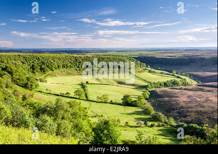 Evening light on the Hole of Horcum Stock Photo