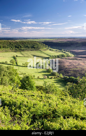 Evening light on the Hole of Horcum Stock Photo