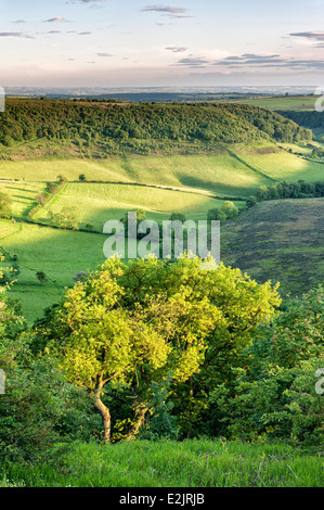 Evening light on the Hole of Horcum Stock Photo