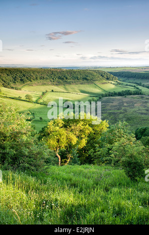 Evening light on the Hole of Horcum Stock Photo