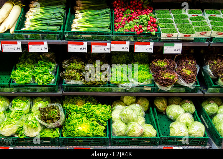 Shelf with food in a supermarket. Refrigerated, salad, vegetables, packed in plastic,