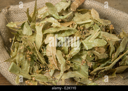 Linden Tea, Provence, France. Dried flowers and leaves from Lime tree: Tilia sp. Stock Photo