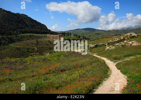 Temple of Segesta during spring in Sicily, Italy Stock Photo