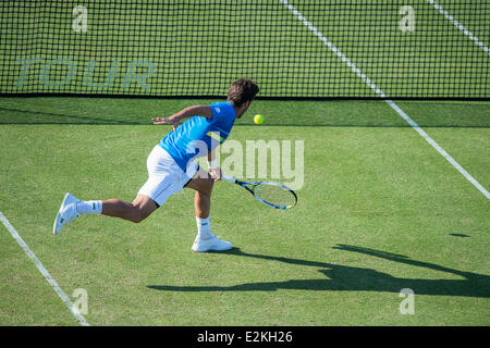 Eastbourne, UK, 20th June, 2014. Feliciano Lopez of Spain volleys against Sam Querrey of the USA in their singles match on Day Five of the Aegon International at Devonshire Park, Eastbourne. Credit:  MeonStock/Alamy Live News Stock Photo