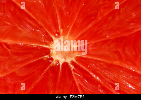 Red  grapefruit, Freshly cut Stock Photo
