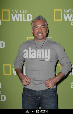 National Geographic Channels TCA party at the Langham Hotel in Pasadena, California  Featuring: Cesar Millan Where: Pasadena, Ca Stock Photo