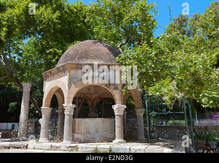 The tree of Hippocrates at Kos island in Greece Stock Photo
