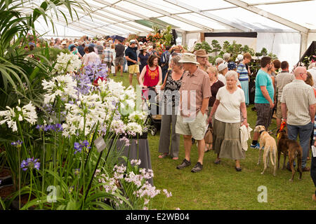 Blenheim Palace, Oxfordshire, UK. 21st June, 2014. Visitors admiring some of the exhibits at the Blenheim Flower Show in Oxfordshire. Credit:  Ric Mellis/Alamy Live News Stock Photo