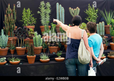 Blenheim Palace, Oxfordshire, UK. 21st June, 2014. Visitors admiring some of the cacti at the Blenheim Flower Show in Oxfordshire. Credit:  Ric Mellis/Alamy Live News Stock Photo