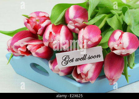 Get well card with pink tulips Stock Photo