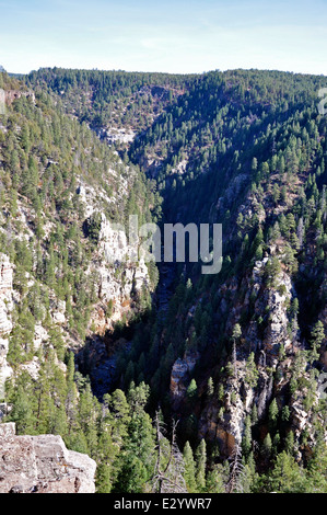 Oak Creek Canyon seen from the overlook vista Stock Photo