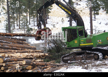Horse Pine Stewardship Contract