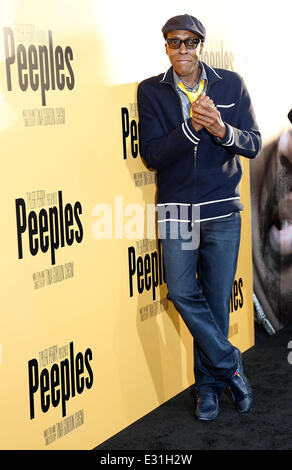 Premiere of 'Peeples' presented by Lionsgate Film and Tyler Perry at ...
