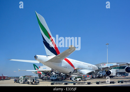 Emirates Airbus A380 double deck wide body four engine jet airplane tail fin logo view at Rome Fiumicino Italy airport apron stand ground crew attend Stock Photo