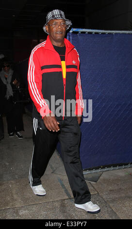 Celebrities arriving at LAX Airport  Featuring: Samuel L. Jackson Where: Los Angeles, California, United States When: 07 Jun 2013 Stock Photo