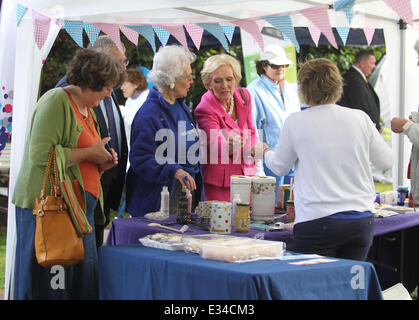 Mary Berry opens Beaconsfield Now 2013, a community event to show what the town has to offer  Featuring: Mary Berry Where: Beaconsfield, United Kingdom When: 15 Jun 2013 Stock Photo
